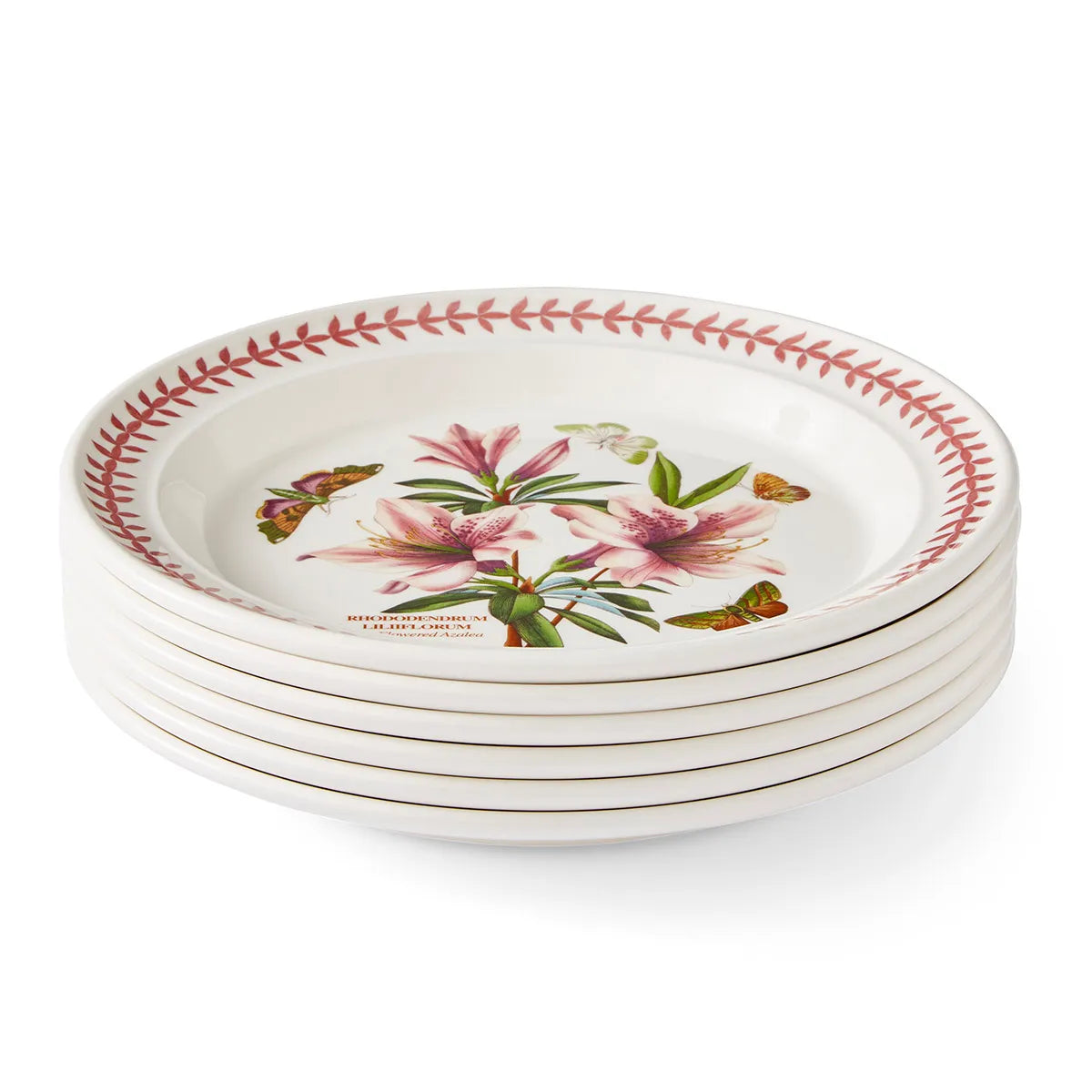 Botanic Garden Meadow Set of 6 Dinner Plates, Assorted