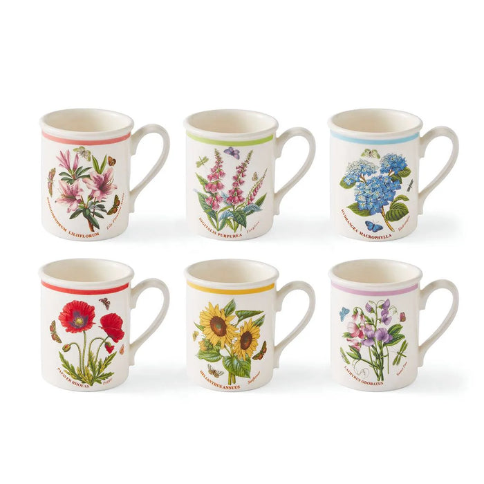 Botanic Garden Meadow Set of 6 Breakfast Mugs, Assorted