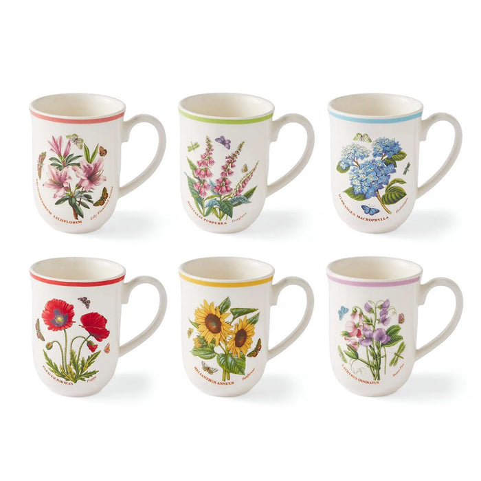 Botanic Garden Meadow Set of 6 Tulip Mugs, Assorted