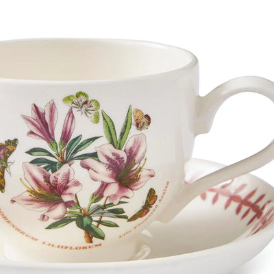 Botanic Garden Meadow Breakfast Teacup & Saucer, Azalea