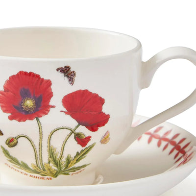 Botanic Garden Meadow Breakfast Teacup & Saucer, Poppy