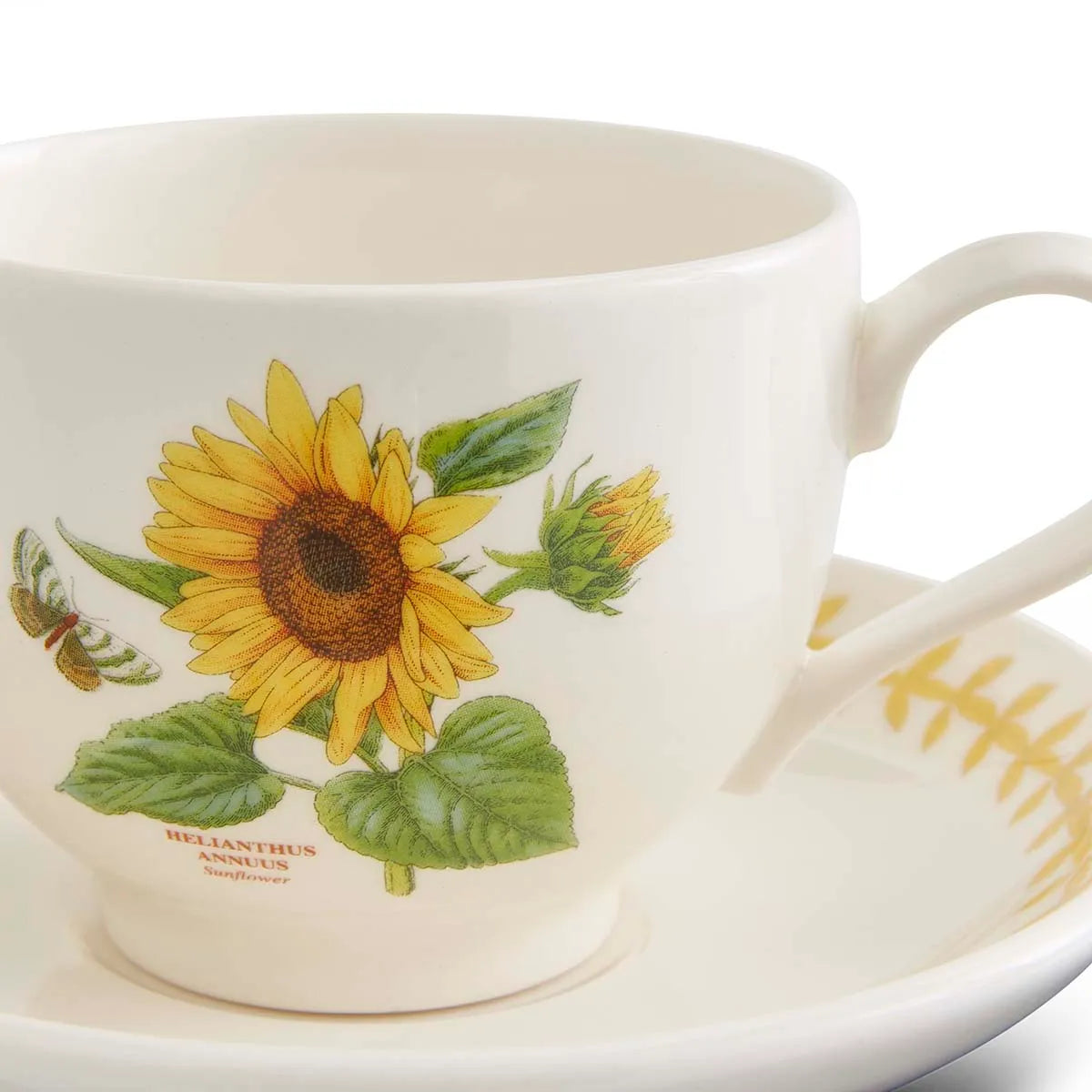 Botanic Garden Meadow Teacup & Saucer, Sunflower