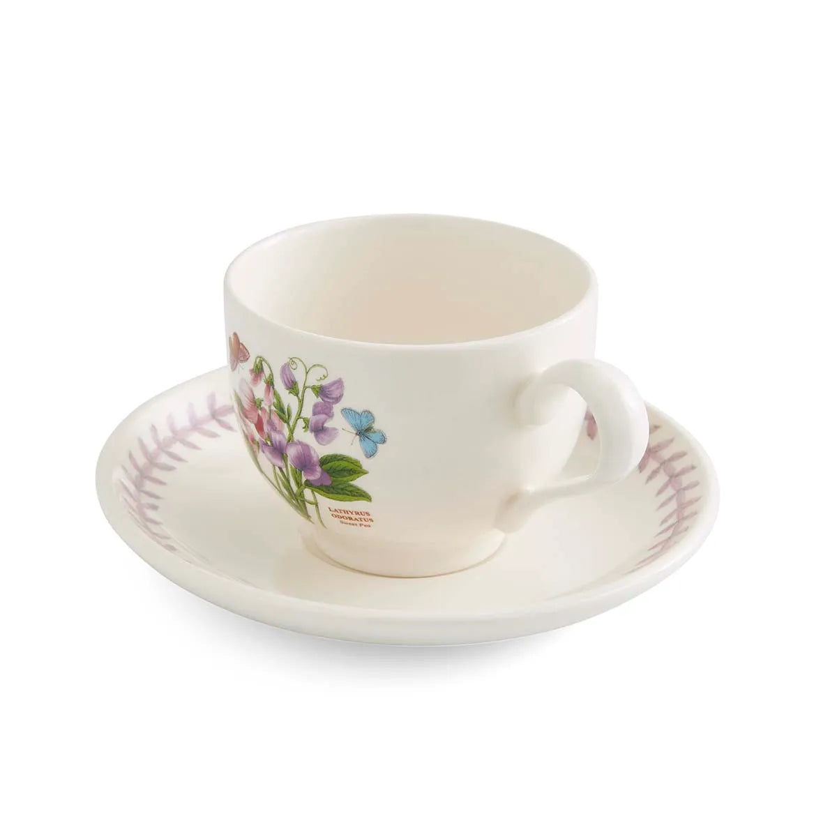 Botanic Garden Meadow Teacup & Saucer, Sweet Pea