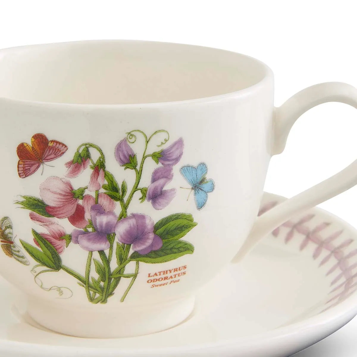 Botanic Garden Meadow Teacup & Saucer, Sweet Pea