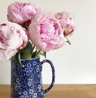 Burleigh Blue Calico Tankard Jug Small 284ml/1/2pt