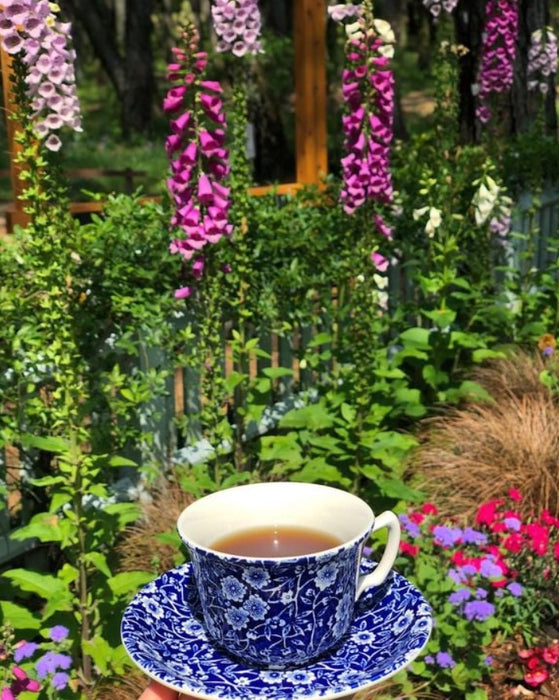 Blue Calico Tea Saucer