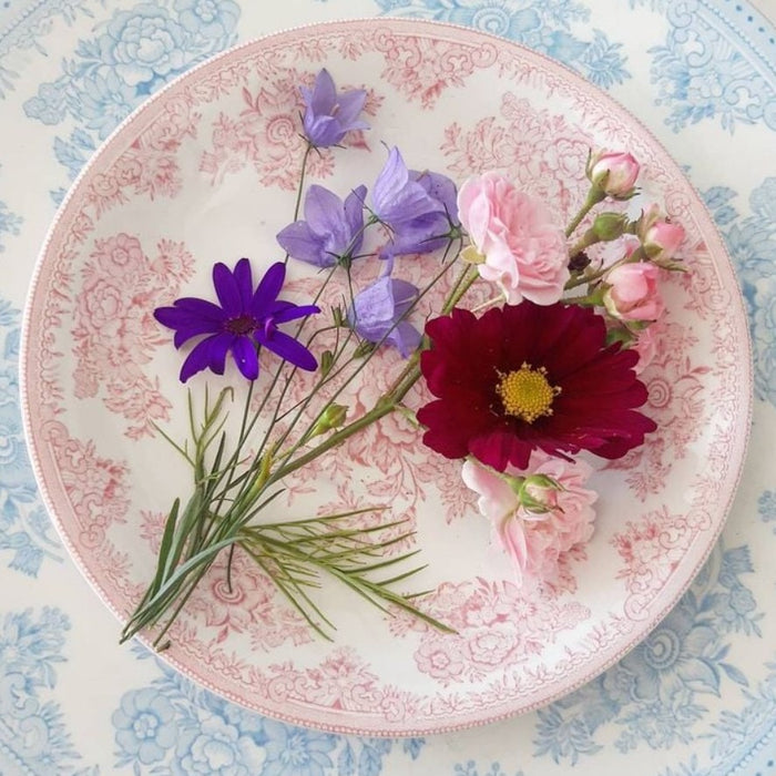 Pink Asiatic Pheasants Plate 22cm (x4)