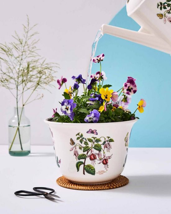 Botanic Garden Flower Pot