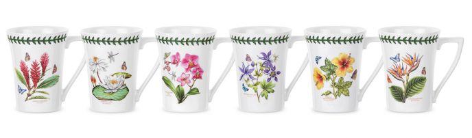 Exotic Botanic Garden Set of 6 Mandarin Mugs