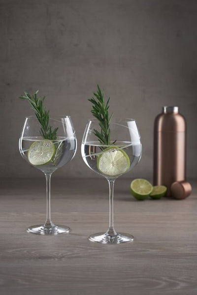 Auris Set of 2 Gin Glasses