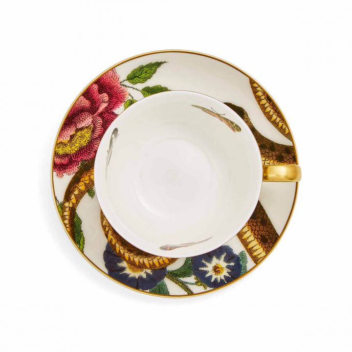 Các sinh vật của Curiosity Leopard Cup &amp; Saucer