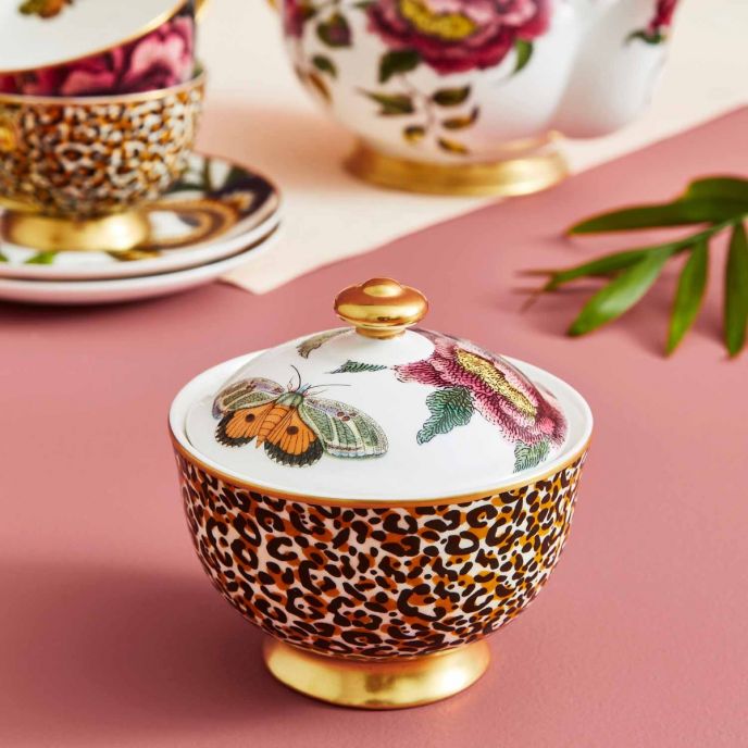 Sinh vật báo tò mò Sugar Bowl