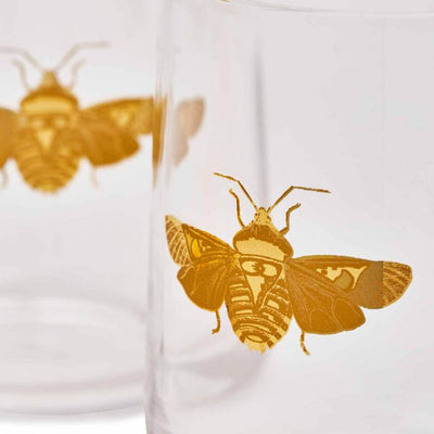 Creatures of Curiosity Glass Tumbler Set