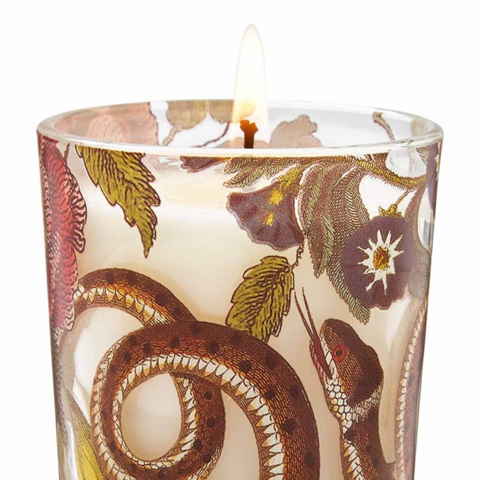 CRC4232-XG Scented Candle Set