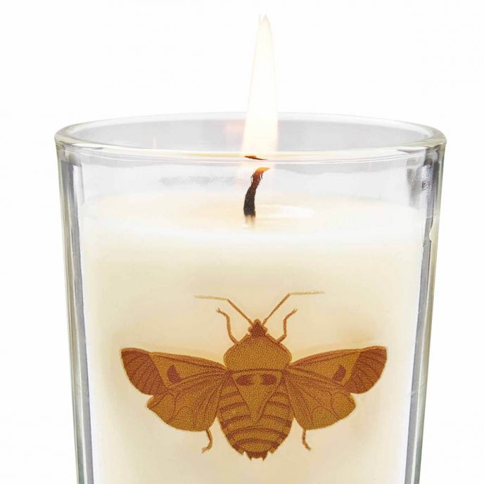 CRC4232-XG Scented Candle Set