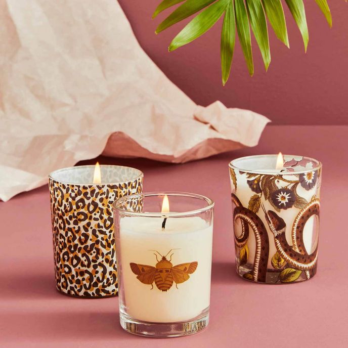 CRC4232-XG Scented Candle Set