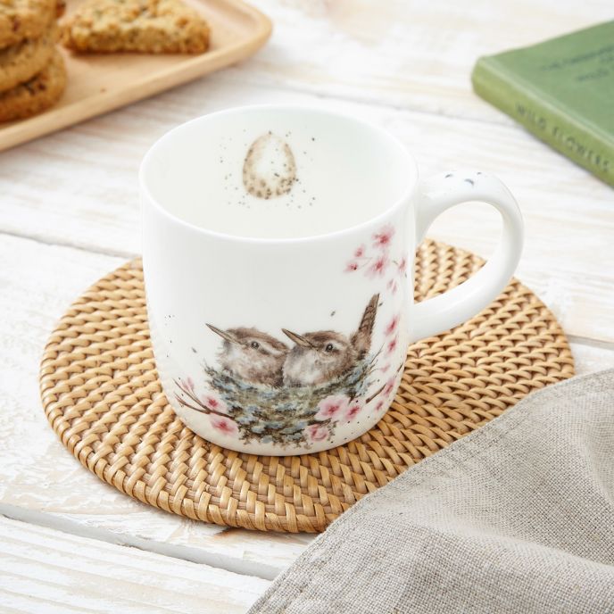 Royal Worcester Wrendale Designs Mug - Feather Your Nest